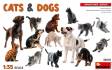 Cats & Dogs