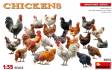 Chickens