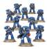 S/M Primaris Intercessors