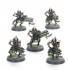 NECRON IMMORTALS/DEATHMAR