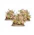 DAEMONS OF NURGLE NURGLIN