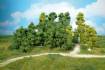 leafy trees 9-18 cm / 14 