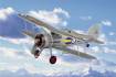 RAF Gladiator