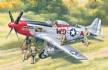 1/48 Mustang P-51D with U