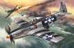1/48 Mustang P-51K, WWII 
