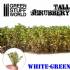 Schrubbery White Green