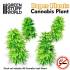 Paper Plants - Cannabis