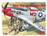 USAAF Pilots