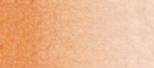 (185) TRANSPARENT ORANGE