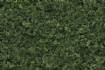 FOLIAGE Medium Green