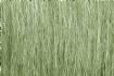 FIELD GRASS Light Green