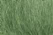 FIELD GRASS Medium Green