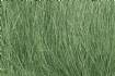 FIELD GRASS Medium Green