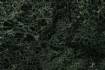LICHEN Dark Green