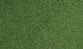 TURF Green Grass